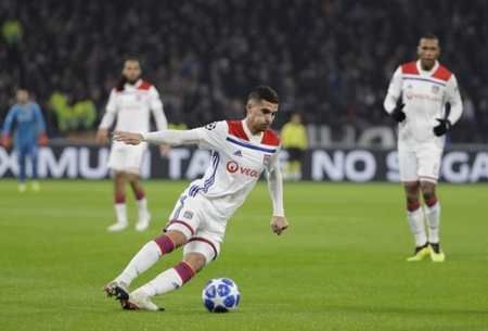 体育中的种 体育中的种