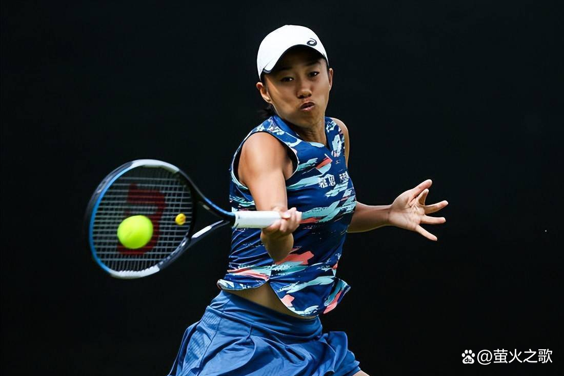 以往的教练 以往的教练